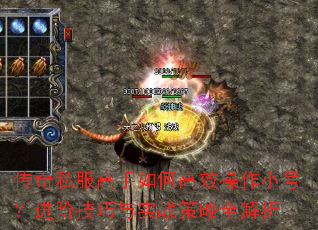 ����˽��������θ�Ч����С�ţ����׼�����ʵս����ȫ����