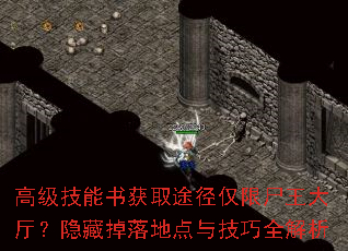 �߼��������ȡ;������ʬ�����������ص���ص��뼼��ȫ����