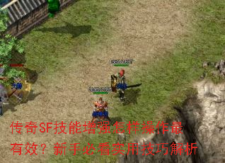 ����SF������ǿ������������Ч�����ֱؿ�ʵ�ü��ɽ���