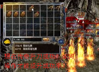 ���ڴ��������ɹ�����β������������ɹ��ʣ�