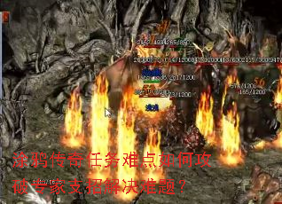 Ϳѻ���������ѵ���ι���ר��֧�н�����⣿