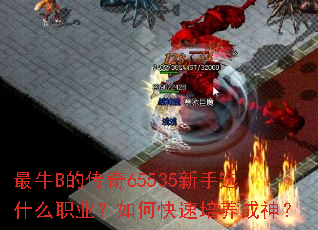 ��ţB�Ĵ���65535����ѡʲôְҵ����ο�����������