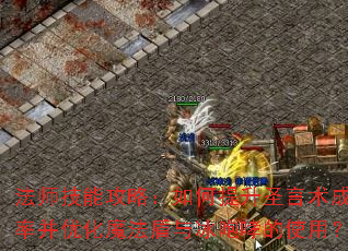 ��ʦ���ܹ��ԣ��������ʥ�����ɹ��ʲ��Ż�ħ�������������ʹ�ã�