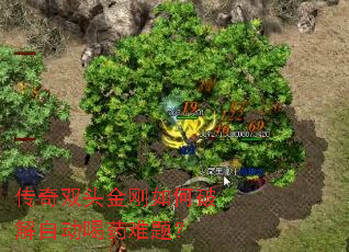 ����˫ͷ�������ƽ��Զ���ҩ���⣿