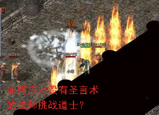 ���Ӧ��û��ʥ�����ķ�ʦ��ս��ʿ��