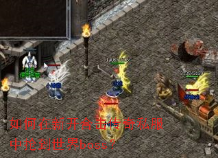 ������¿��ϻ�����˽������������boss��