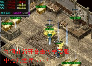 ������¿��ϻ�����˽������������boss��