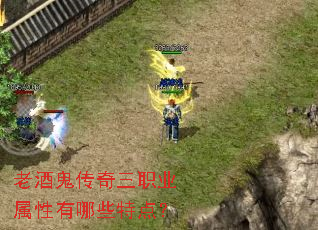�Ͼƹ�������ְҵ��������Щ�ص㣿