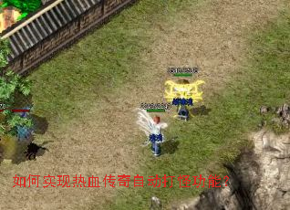 ���ʵ����Ѫ�����Զ���ֹ��ܣ�