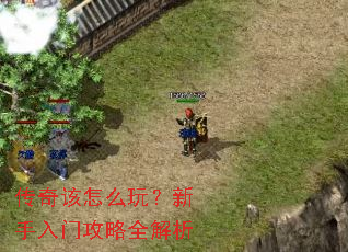 �������ô�棿�������Ź���ȫ����