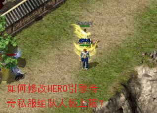 ����޸�HERO���洫��˽������������ޣ�