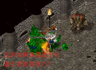 ��ʦ�������սʿ���ʿ�����漼�ɣ�