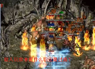 ɢ����ҵ���ʲôְҵ���񫣿