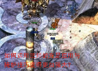 ������÷�ʦ�ĳ���Ӧ�����ڻ����ɱ�ø���ǿ��