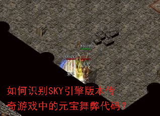 ���ʶ��SKY����汾������Ϸ�е�Ԫ����״��룿