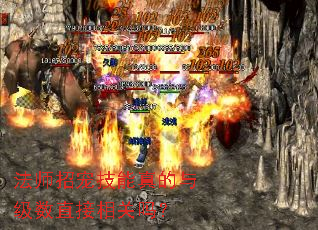 ��ʦ�г輼������뼶��ֱ�������