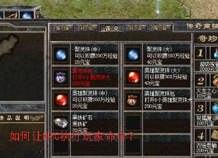 �����NPCִ��������