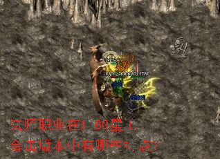 ��ʦְҵ��1.80�����ϻ��汾������Щ�ص㣿