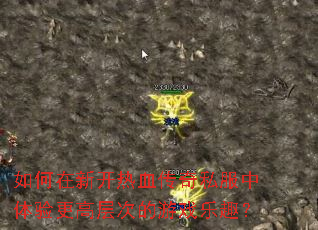 ������¿���Ѫ����˽����������߲�ε���Ϸ��Ȥ��
