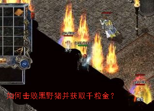 ��λ��ܺ�Ұ������ȡǧ����