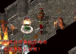 ��λ������ɯ�����е�����ɯ���飿