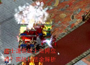 ��ʿ����սʿ���Ӧ�ԣ�ʵս��ȫ����