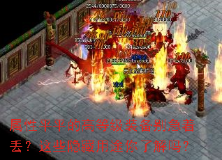 ����ƽƽ�ĸߵȼ�װ�����Ŷ�����Щ������;���˽���