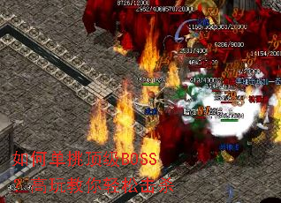 ��ε�������BOSS������������ɻ�ɱ
