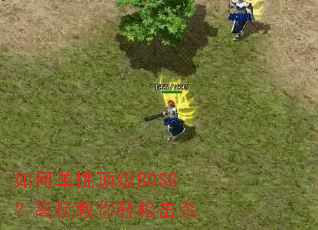 ��ε�������BOSS������������ɻ�ɱ