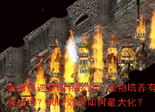 ��ο��ٻ�ȡ�����ģ�������������Щ���ɣ�BUFFЧ�������󻯣�
