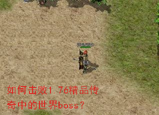 ��λ���1.76��Ʒ�����е�����boss��