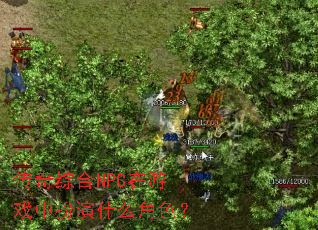 �����ۺ�NPC����Ϸ�а���ʲô��ɫ��