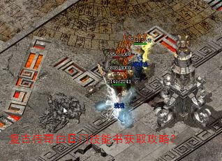 ���Ŵ�������ż������ȡ���ԣ�