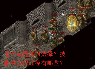 ��ʿ�������ѡ�񣿼������ȡ;������Щ��