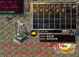 ������ֵ��浶�������������װ��ǿ���ɹ�����