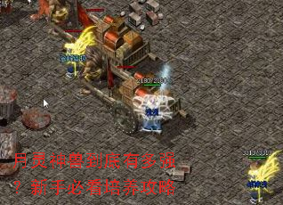 �������޵����ж�ǿ�����ֱؿ���������
