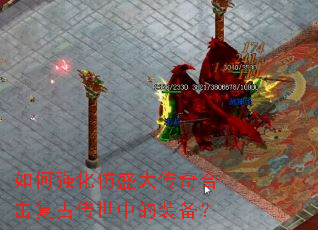 ���ǿ����ʢ����ϻ����Ŵ����е�װ����