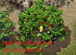 �Ŀ��˽���汾���ȶ����ʺϳ������棿