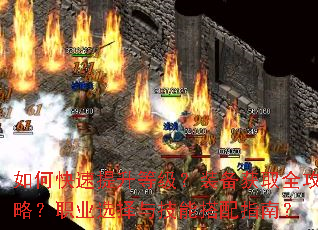 ��ο��������ȼ���װ����ȡȫ���ԣ�ְҵѡ���뼼�ܴ���ָ�ϣ�