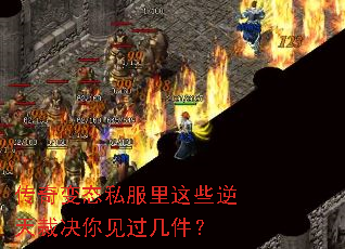 �����̬˽������Щ����þ������������