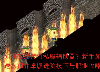 ���ѡ����˽����������������ο������Ų����ս��׼�����ְҵ���ԣ�