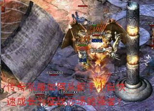 ����˽����δ�����С�׿��ٳɳ�Ϊ��սɳ����ǿ�ߣ�