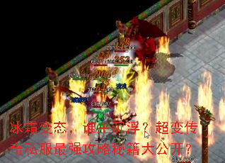 ��˪��̬��˭�����������䴫��˽����ǿ�����ؼ��󹫿���