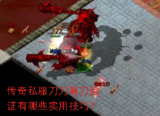 ����˽�������浶��֤����Щʵ�ü��ɣ�
