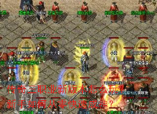 ������ְҵ�°汾��ô�棿������δ�����ٳ���