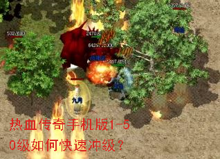 ��Ѫ�����ֻ���1-50����ο��ٳ弶��