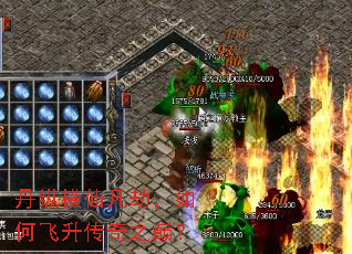 ���ݺ��ɷ��٣���η�������֮�ۣ�