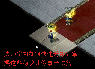 ��ʦ������ο���������������Щ�ؾ������°빦��