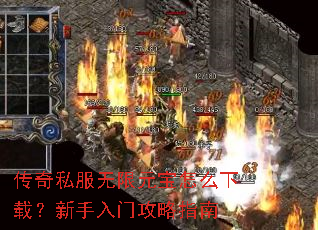 ����˽������Ԫ����ô���أ��������Ź���ָ��