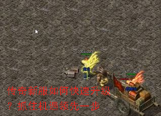 �����·���ο���������ץס��������һ��